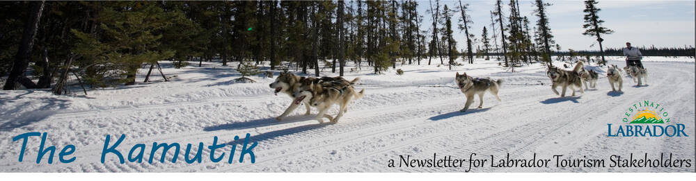 The Kamutik Newsletter The Kamutik Newsletter